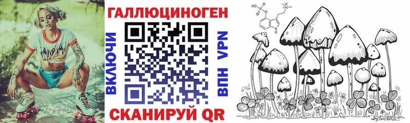 Псилоцибиновые грибы GOLDEN TEACHER  Зеленокумск 